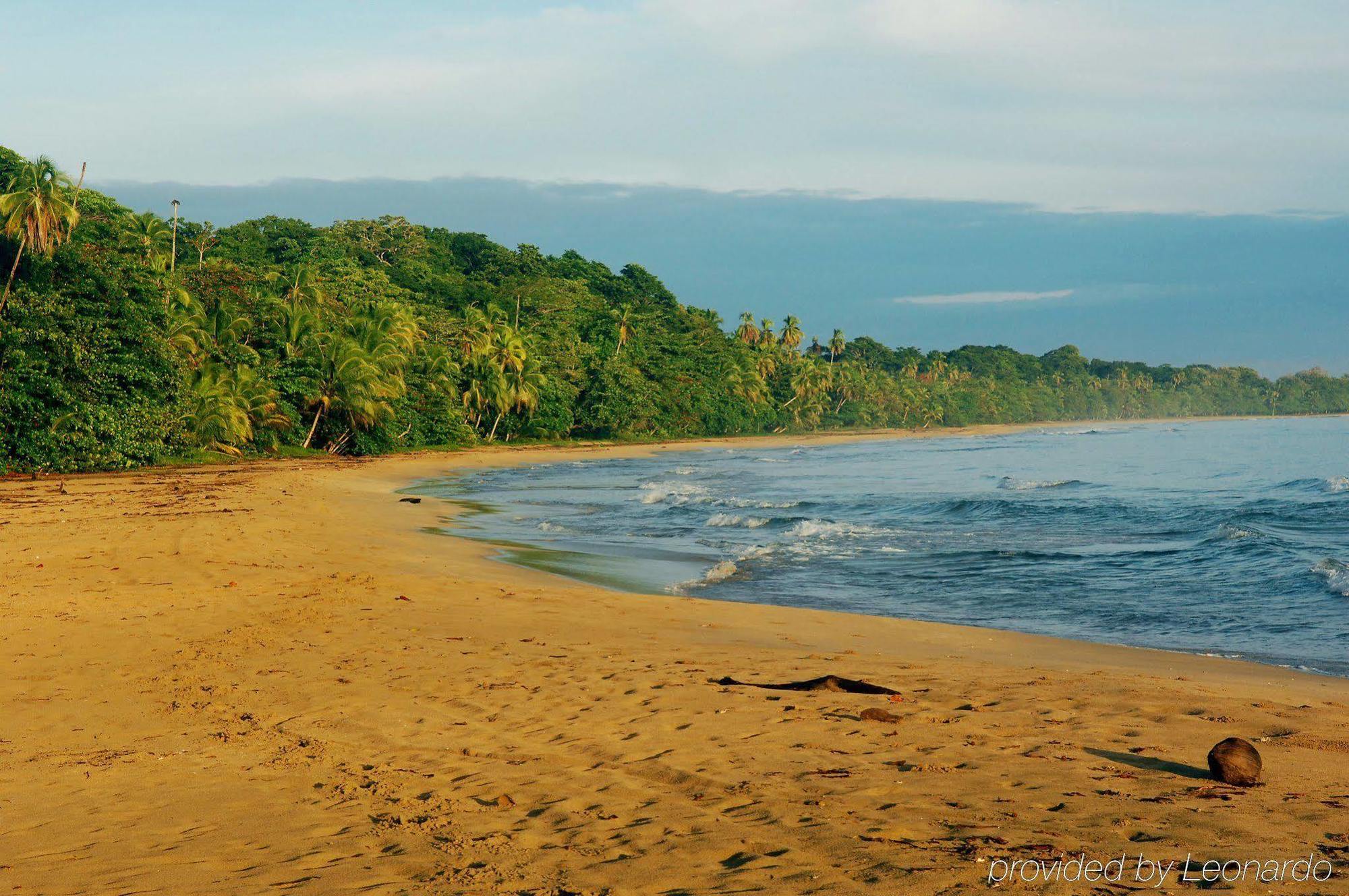 Almonds And Corals Hotel Puerto Viejo de Talamanca ภายนอก รูปภาพ