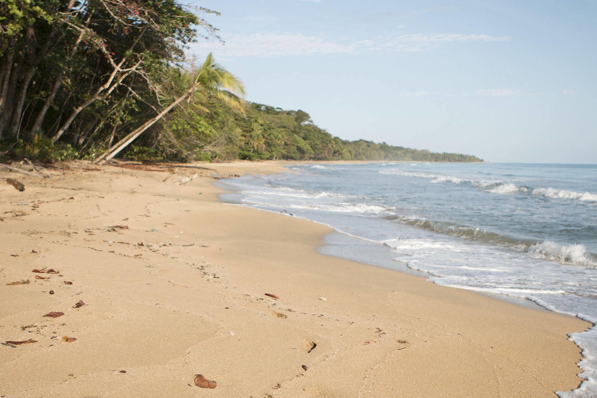 Almonds And Corals Hotel Puerto Viejo de Talamanca ภายนอก รูปภาพ