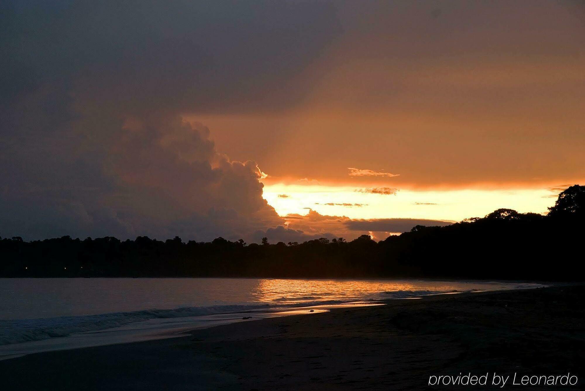 Almonds And Corals Hotel Puerto Viejo de Talamanca ภายนอก รูปภาพ